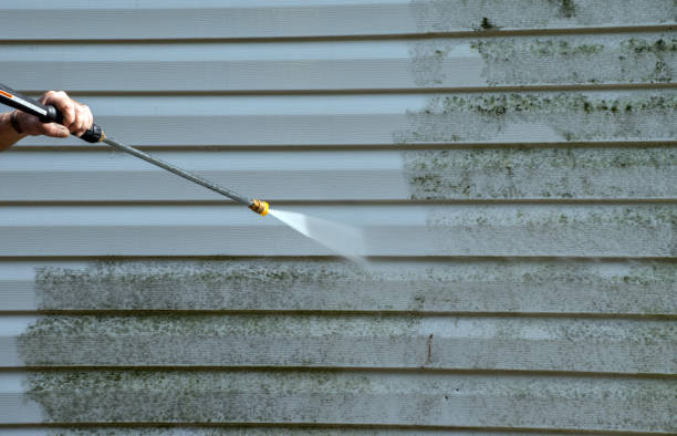 Best Patio and Deck Pressure Washing  in Gold Beach, OR